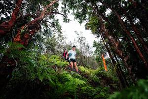 BIB: 
                            <button type="button" onclick="openModal(26203267)" class="btn btn-primary btn-sm float-right btn-popup" data-toggle="modal" data-target=".modal-high-quality">
                        <i class="fas fa-shopping-cart"></i> Add to Cart
                    </button>
                                            <button type="button" onclick="isThisMe(26203267, true)" class="btn btn-success btn-sm float-right btn-popup btn-isme hidden" data-toggle="tooltip" data-placement="bottom" title="นี่คือรูปของคุณใช่ไหม คลิกที่นี่เพื่อเอาเข้าอัลบั้ม">
                        <i class="fas fa-plus"></i> Add to album
                    </button>
                    <button type="button" onclick="isThisMe(26203267, false)" class="btn btn-warning btn-sm float-right btn-popup btn-isnotme hidden">
                        <i class="fas fa-ban"></i> Remove from album
                    </button>